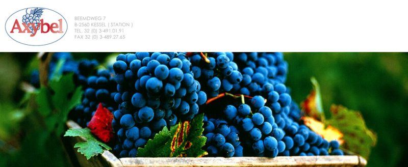 Axybel a passion for good wines -sponsor Art in Nature 2017