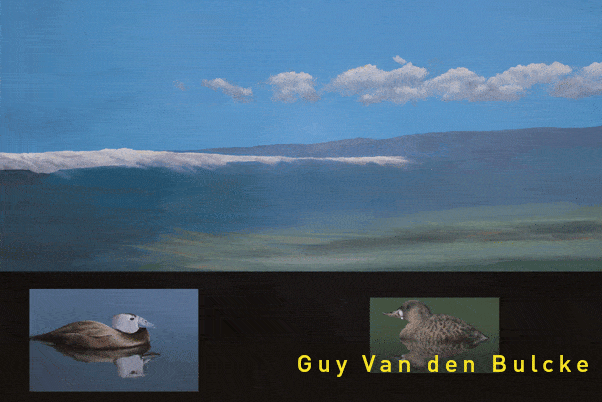 Guy Van den Bulcke - Art in Nature 2019