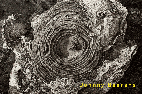 Johnny Beerens - Art in Nature 2019